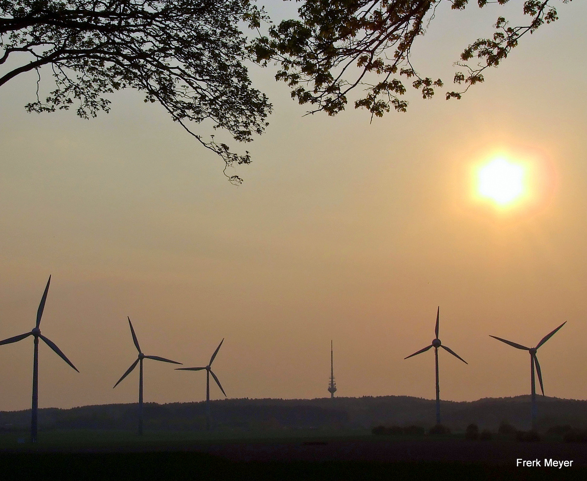 Energías renovables e innovación tecnológica