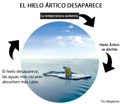 Retroalimentación positiva