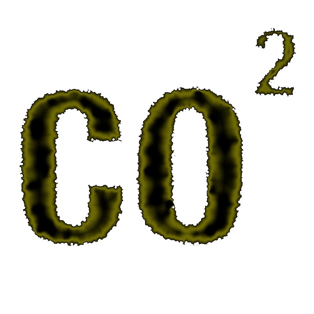 CO2 y la huella de carbono